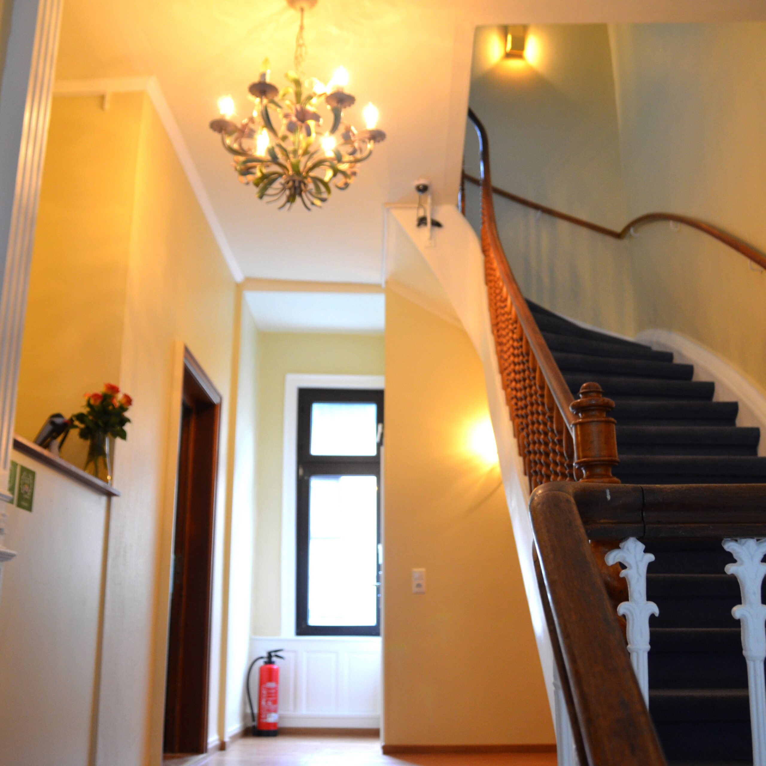 2H0A5461 - Kopie (1)